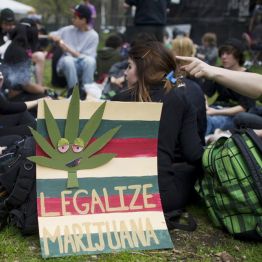 Итальянцы намерены легализовать марихуану